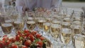 Champagne with appetizers on the buffet table. Buffet table, canape with cheese, cherry tomato and olive. Snacks and Royalty Free Stock Photo