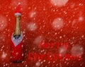 Champagne bootle in snow