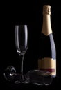 Champagne bottle Royalty Free Stock Photo