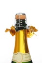 Champagne bottle Royalty Free Stock Photo
