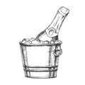 Champagne Bottle In Bucketful With Ice Ink Vector Royalty Free Stock Photo