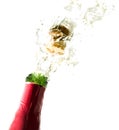 Champagne bottle cork Royalty Free Stock Photo