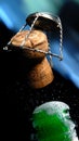 Champagne bottle cork popping Royalty Free Stock Photo