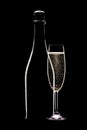 Champagne bottle and full flute Royalty Free Stock Photo