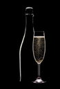 Champagne bottle and full flute Royalty Free Stock Photo