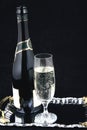 Champagne bottle and glass VI