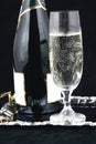 Champagne bottle and glass VIII