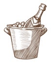 Champagne bottle in ice bucket hand drawn sketch illustration Royalty Free Stock Photo