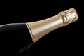 Champagne bottle isolated Royalty Free Stock Photo