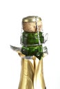 Champagne bottle neck and cork Royalty Free Stock Photo