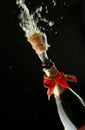 Champagne bottle ready for celebration Royalty Free Stock Photo