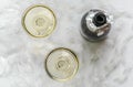 Champagne Bottle and Two Coupes Royalty Free Stock Photo