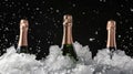 Champagne bottles on ice, black background providing high contrast Royalty Free Stock Photo