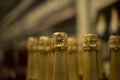 Champagne bottles. Champagne in shop. Alcoholic beverage Royalty Free Stock Photo