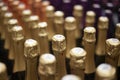 Champagne bottles stand in a row.