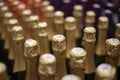 Champagne bottles stand in a row.