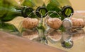 Champagne bottles and wine corks Royalty Free Stock Photo