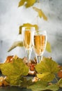 Champagne, brut or sparkling wine in glass on gray background. Autumn still life, wine tasting table setting concept Royalty Free Stock Photo