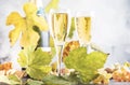 Champagne, brut or sparkling wine in glass on gray background. Autumn still life, wine tasting table setting concept Royalty Free Stock Photo