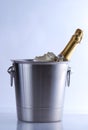 Champagne cooler Royalty Free Stock Photo