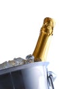 Champagne cooler Royalty Free Stock Photo