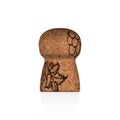 Champagne cork front view, vector illustration