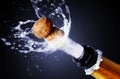 Champagne cork popping Royalty Free Stock Photo