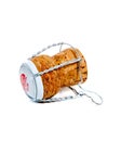 Champagne cork on white Royalty Free Stock Photo