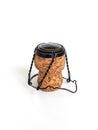 Champagne cork with the wire muselet on white background