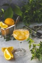 Champagne coupe glass of refreshing orange cocktail with ice served on gray table surface surround of orange fruit and different Royalty Free Stock Photo