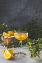 Champagne coupe glass of refreshing orange cocktail with ice served on gray table surface surround of orange fruit and different Royalty Free Stock Photo