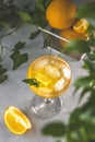 Champagne coupe glass of refreshing orange cocktail with ice served on gray table surface surround of orange fruit and different Royalty Free Stock Photo