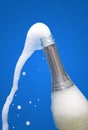 Champagne flowing Royalty Free Stock Photo