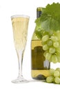 Champagne Flute Royalty Free Stock Photo