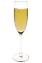 Champagne flute Royalty Free Stock Photo