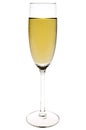 Champagne flute Royalty Free Stock Photo