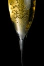 Champagne flute with golden fine bubbles Royalty Free Stock Photo