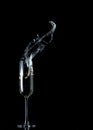 Champagne flute splash Royalty Free Stock Photo