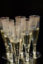 Champagne flutes glasses isolated