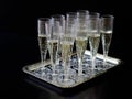 Champagne flutes glasses isolated