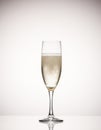 Champagne glass Royalty Free Stock Photo