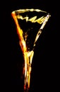 Champagne glass