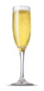 Champagne glass Royalty Free Stock Photo