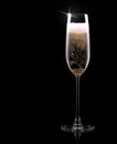Champagne glass on black background Royalty Free Stock Photo