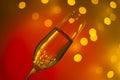 Champagne glass in disco party bar Royalty Free Stock Photo