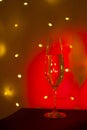Champagne glass in disco party bar Royalty Free Stock Photo