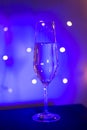 Champagne glass in disco party bar Royalty Free Stock Photo