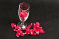 A champagne glass filled with rose petals Royalty Free Stock Photo