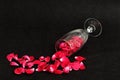 A champagne glass filled with rose petals Royalty Free Stock Photo