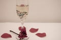 Champagne Glass with heart inside that says I Love You, with dried red rose at the stem. Royalty Free Stock Photo